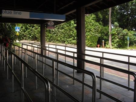 SDC11803.JPG